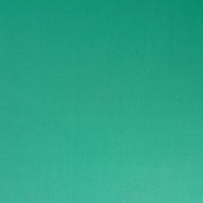 Check out the Apple Green Cotton Dinner Napkin for rent