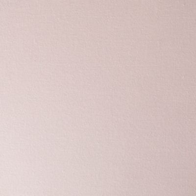 Check out the Blush Cotton Dinner Napkin for rent