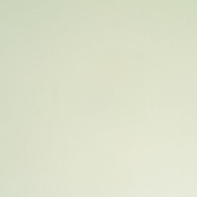 Check out the Celadon Green Cotton Dinner Napkin for rent