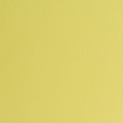 Check out the Chartreuse Cotton Dinner Napkin for rent