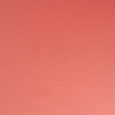 Check out the Coral Cotton Dinner Napkin for rent