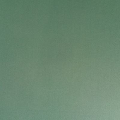 Check out the Turtle Green Cotton Dinner Napkin for rent