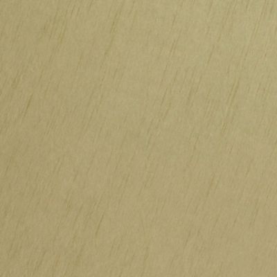 Check out the Kiwi Shantung Dinner Napkin for rent