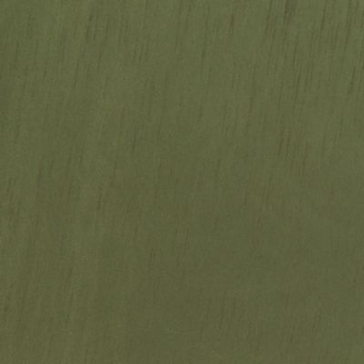 Check out the Olive Shantung Dinner Napkin for rent
