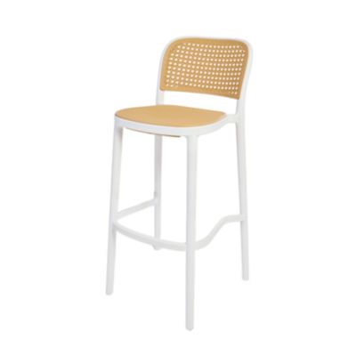 Check out the Walsh Cane Back Resin Bar Stool for rent