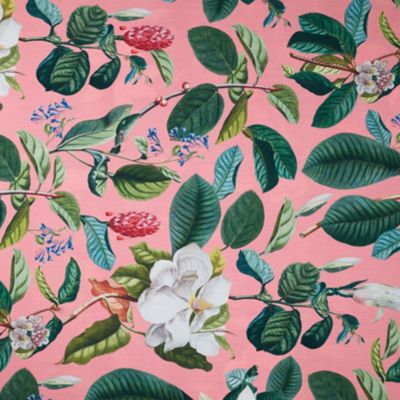 Check out the Magnolia Candlelight Peach Print Dinner Napkin for rent