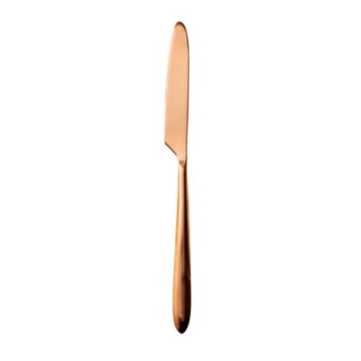 Check out the Muse Brushed Copper Dinner Knife for rent