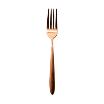 Check out the Muse Brushed Copper Salad Fork for rent