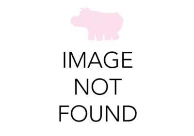 Check out the Orchid Shantung Dinner Napkin for rent