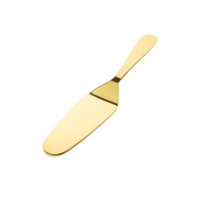 Check out the Stainless Gold Cake Server for rent