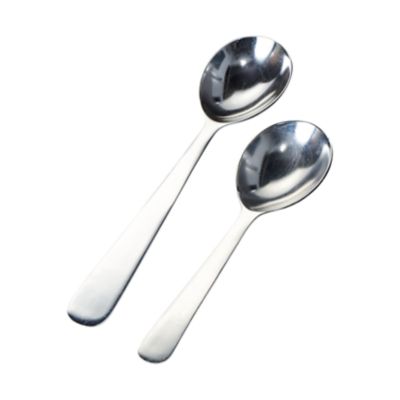 Check out the Silver Serving Spoon for rent