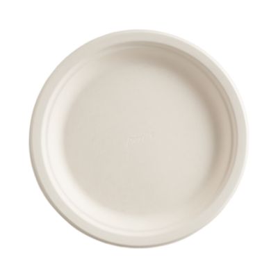 Check out the Recyclable Paper Plates (Per 125) for rent