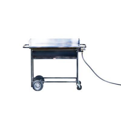 Check out the Propane Griddle for rent