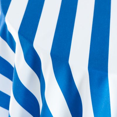 Check out the Canopy Stripe Blue & White 2" Print for rent