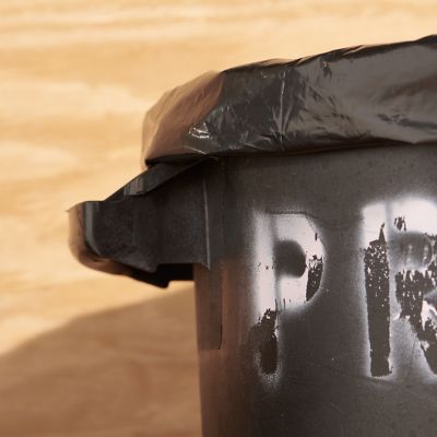 Detail image of Sanitation and Garbage