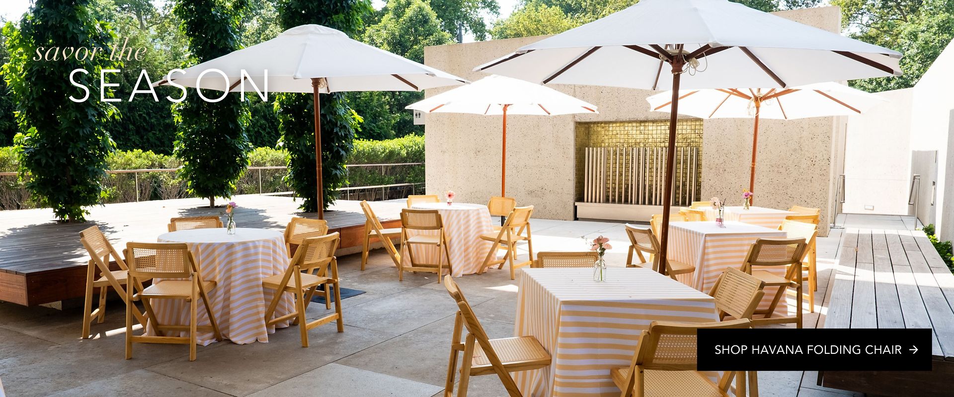 Folding Cane Wood Chair For Rent