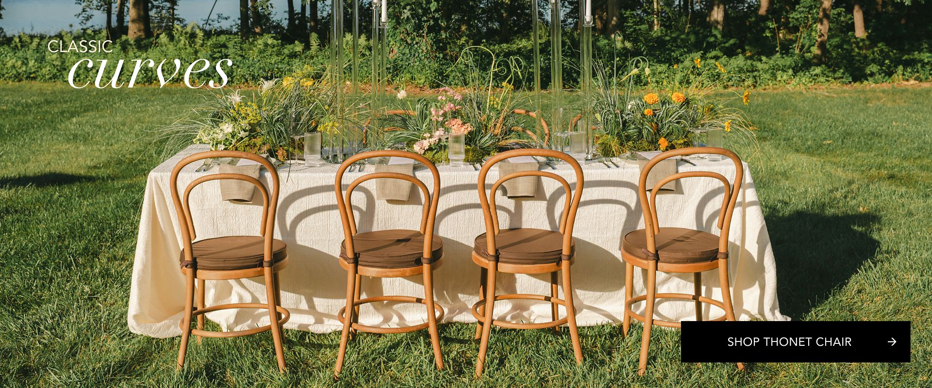 Modern Bentwood Chair For Rent