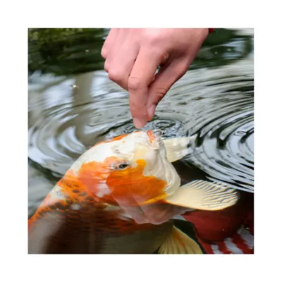 Product Tetra® TetraPond Variety Blend Fish Food