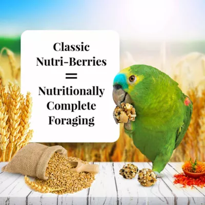Product Lafeber's® Nutri-Berries Parrot Food