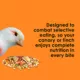 Product KAYTEE® Fiesta Canary & Finch Food