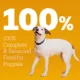 Product Pedigree® Chopped Ground Dinner Puppy Wet Dog Food - Heathy Brain Development , 13.2 Oz.