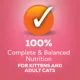 Product Friskies® Pate Wet Cat Food - 5.5 oz