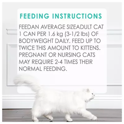 Product Fancy Feast Wet Cat Food Pâté, 85 g (3 oz)