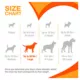 Product Nylabone® DuraChew® Bone Chew Dog Toy