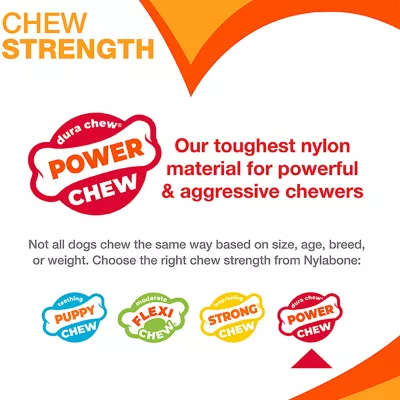Product Nylabone® DuraChew® Bone Chew Dog Toy
