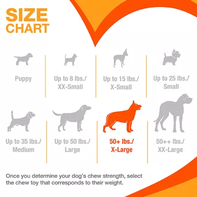 Product Nylabone® DuraChew® Bone Chew Dog Toy