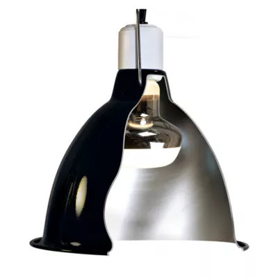 Product Zoo Med Repti Basking Spot® Lamp
