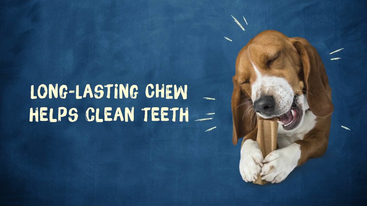 Purina® Busy Bone Small/Medium Dog Treat Beef, Long-Lasting Chew