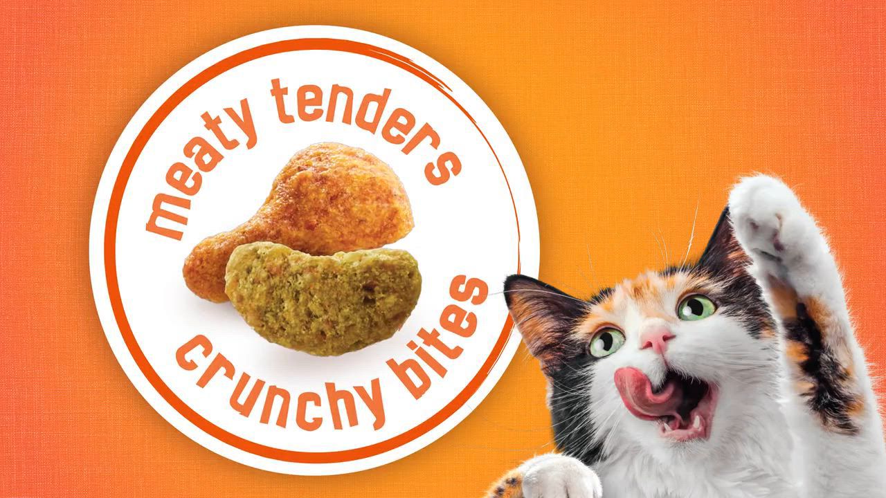 Friskies® Tender and Crunch'd Adult Dry Cat Food