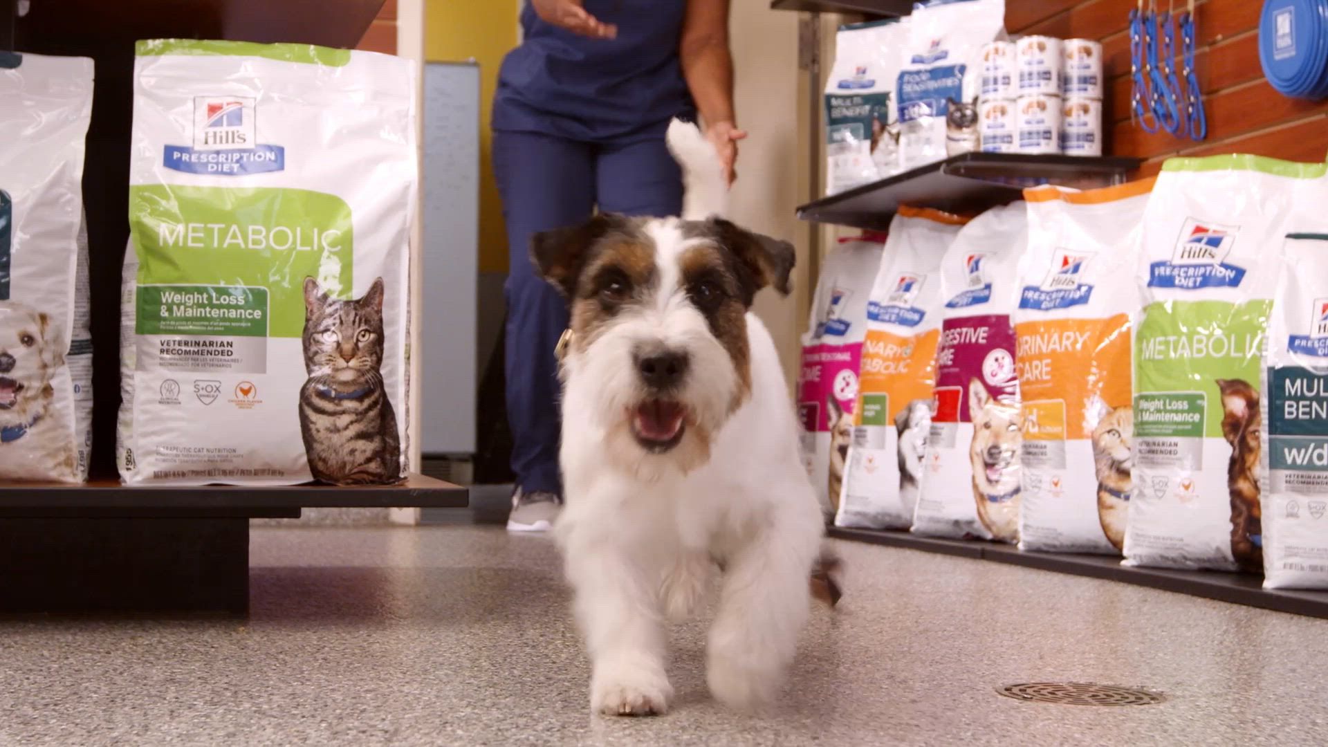 Hill's® Prescription Diet® i/d Digestive Care Low Fat Adult Dog