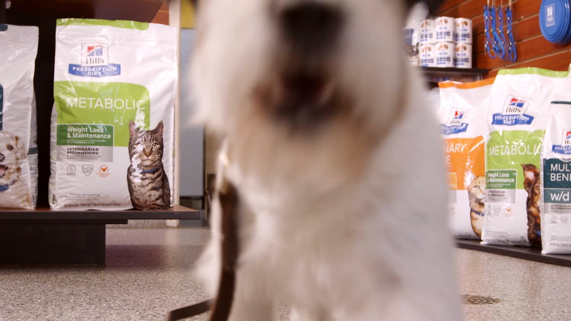 Hill's® Prescription Diet® a/d Urgent Care Adult Dog Cat Food