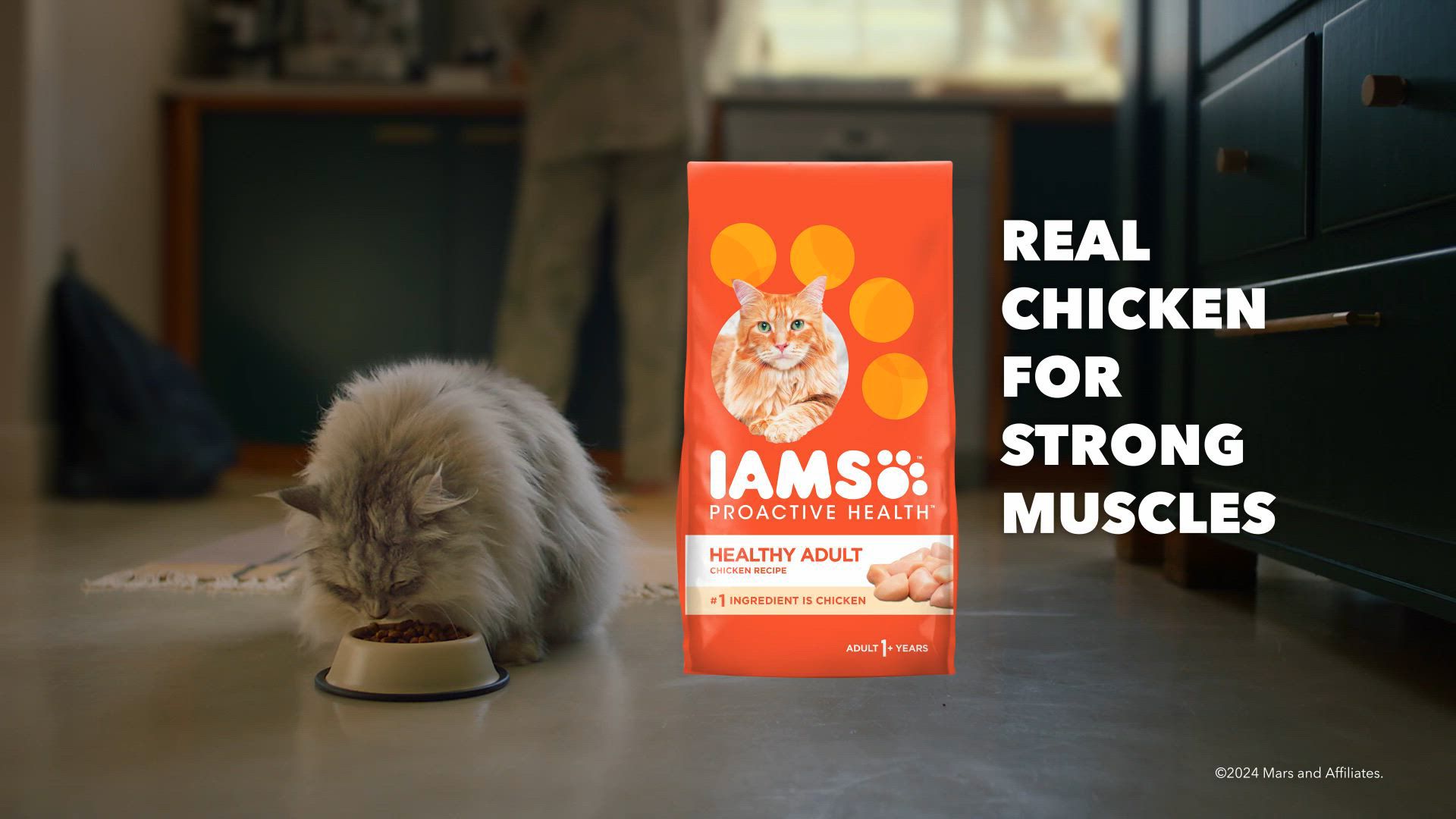 IAMS™ Proactive Health Senior Dry Cat Food Healthy Aging, Chicken