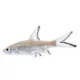 Product Bala Shark