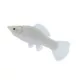 Product Silver Molly