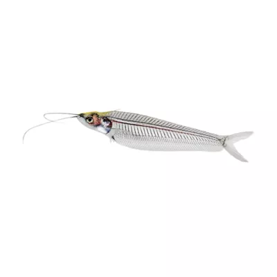 Product Ghost Catfish