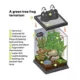 Product Green Tree Frog