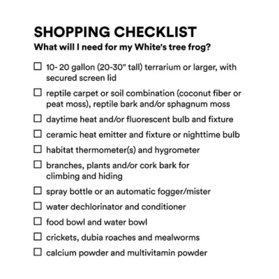 Product White Tree Frog