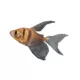 Product Long-Finned Black SkirtTetra