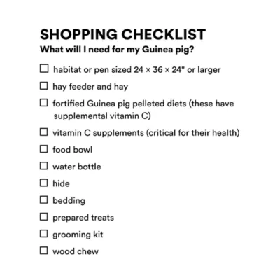 Product Guinea Pig