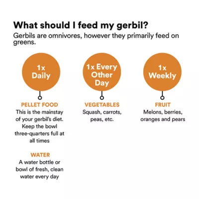 Product Gerbil