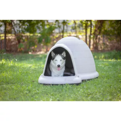 Product The Petmate Indigo Dog House