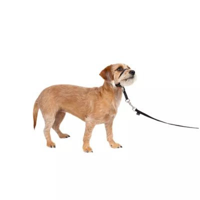 Product PetSafe® Gentle Leader No-Pull Dog Headcollar - Helps You Regain Control