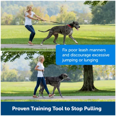 Product PetSafe® Gentle Leader No-Pull Dog Headcollar - Helps You Regain Control