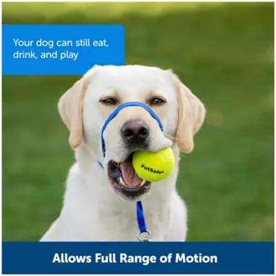 Product PetSafe® Gentle Leader No-Pull Dog Headcollar - Helps You Regain Control