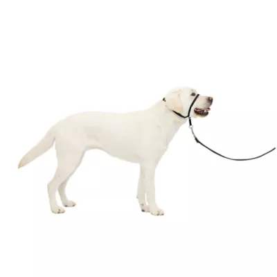 Product PetSafe® Gentle Leader No-Pull Dog Headcollar - Helps You Regain Control