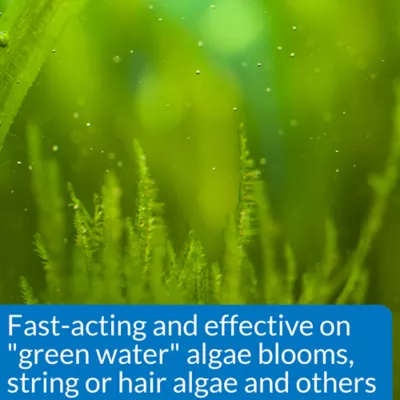 Product API® Algaefix Aquarium Algae Control